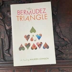 LAST CHANCE Adult Fiction Paperback Book Contemporary Romance Friendship LGBTQ